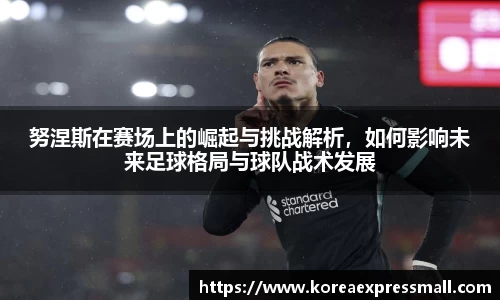 努涅斯在赛场上的崛起与挑战解析，如何影响未来足球格局与球队战术发展