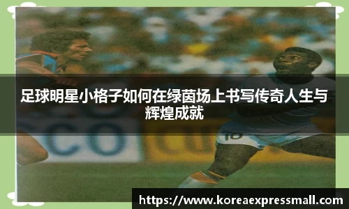 足球明星小格子如何在绿茵场上书写传奇人生与辉煌成就